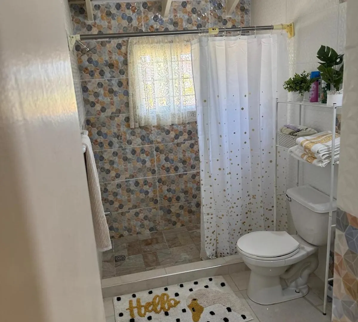 Rhyne Park Inn Montego Bay 0*,